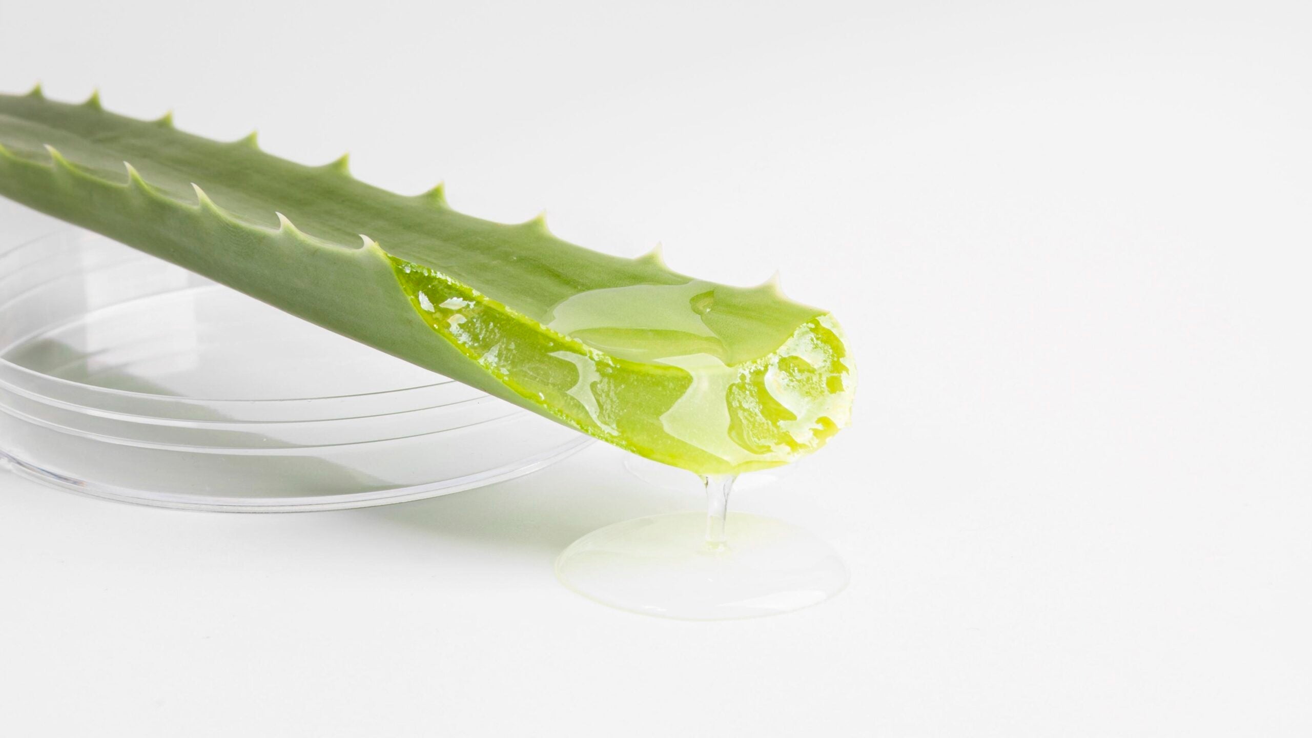 Aloe Vera Saffron Gel – A Natural Way to Achieve Radiant Skin